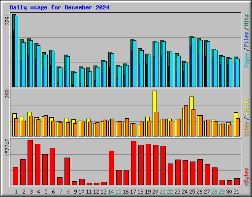 Daily usage for December 2024