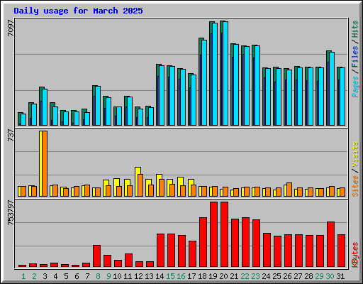 Daily usage for March 2025