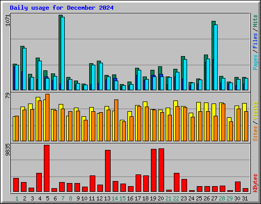 Daily usage for December 2024