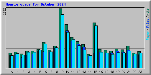 Hourly usage for October 2024