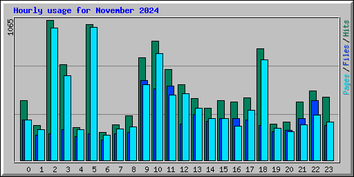 Hourly usage for November 2024