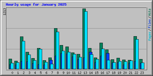Hourly usage for January 2025