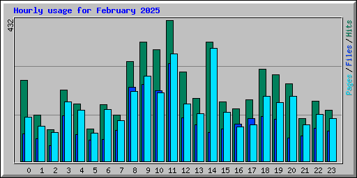 Hourly usage for February 2025