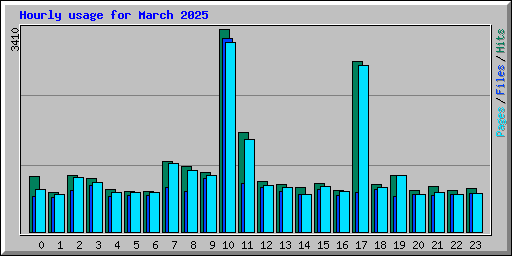 Hourly usage for March 2025