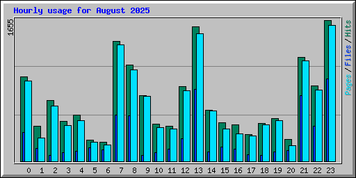 Hourly usage for August 2025