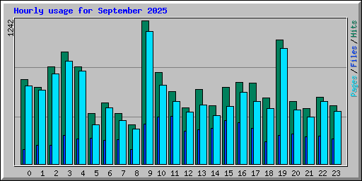 Hourly usage for September 2025