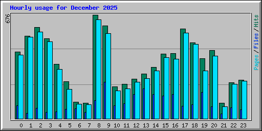 Hourly usage for December 2025