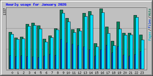Hourly usage for January 2026