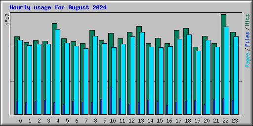 Hourly usage for August 2024