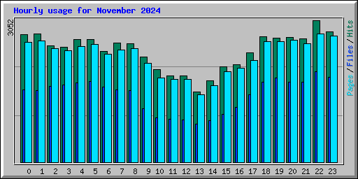 Hourly usage for November 2024