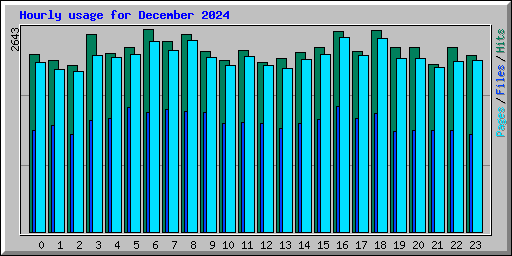 Hourly usage for December 2024