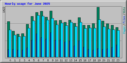 Hourly usage for June 2025