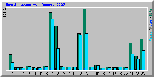 Hourly usage for August 2025