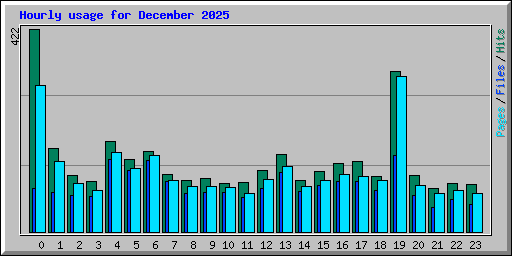 Hourly usage for December 2025